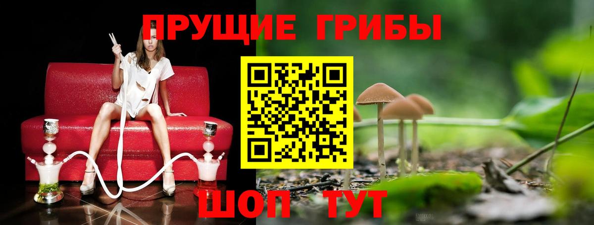 Семёнов  Псилоцибиновые грибы GOLDEN TEACHER  где купить наркоту  Вход с VPN 